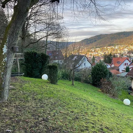 Ruhiges Direkt In S-bahn-naehe * هايدلبرغ