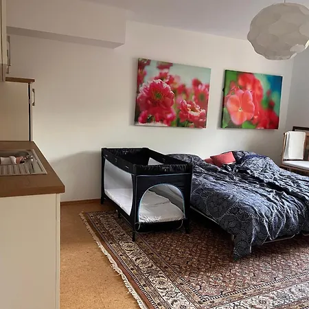 Apartment Ruhiges Direkt In S-bahn-naehe Heidelberg